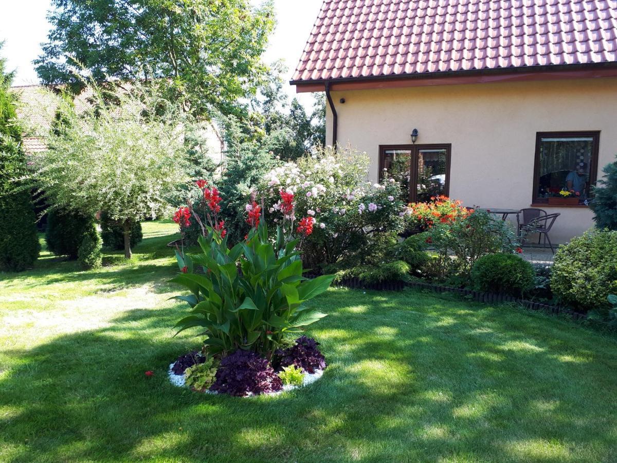 Agroturystyka Druzno Elblag Bagian luar foto