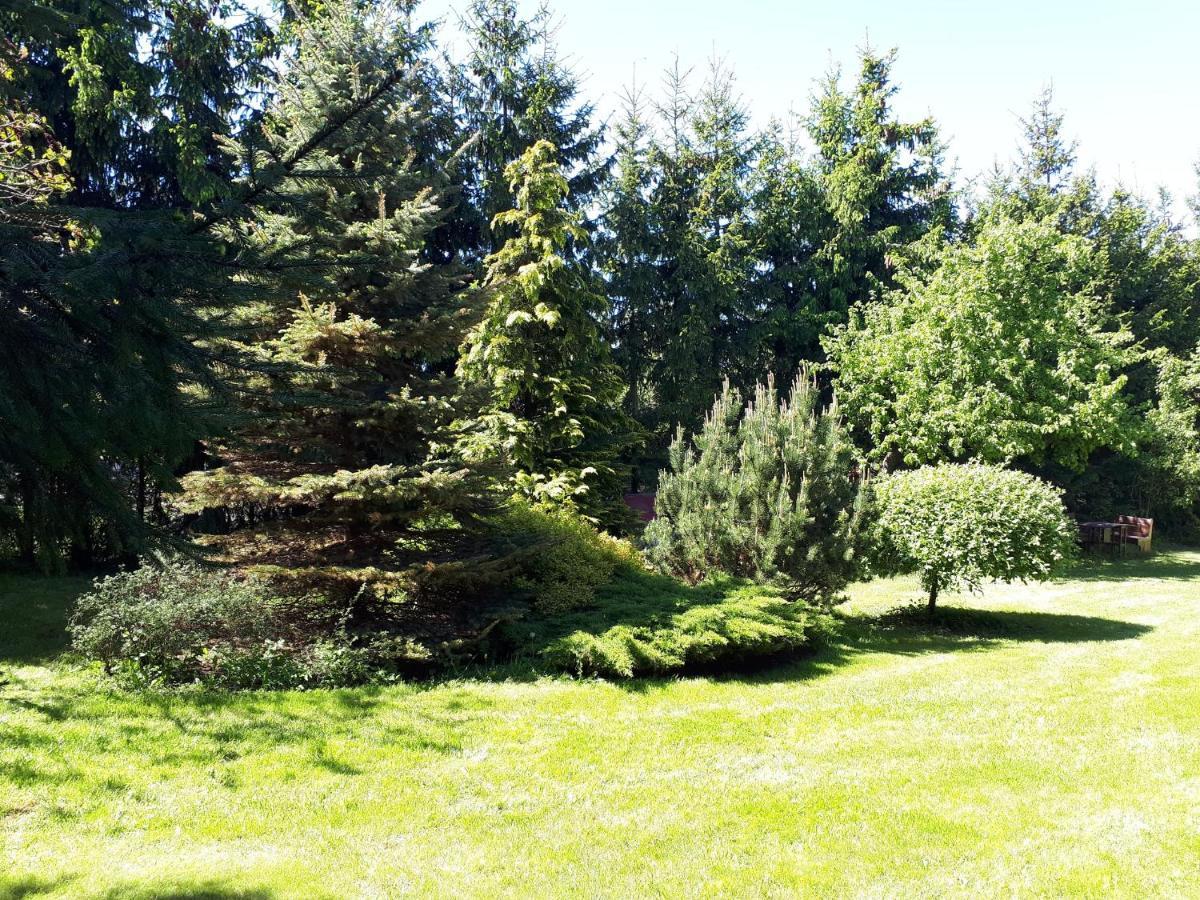 Agroturystyka Druzno Elblag Bagian luar foto