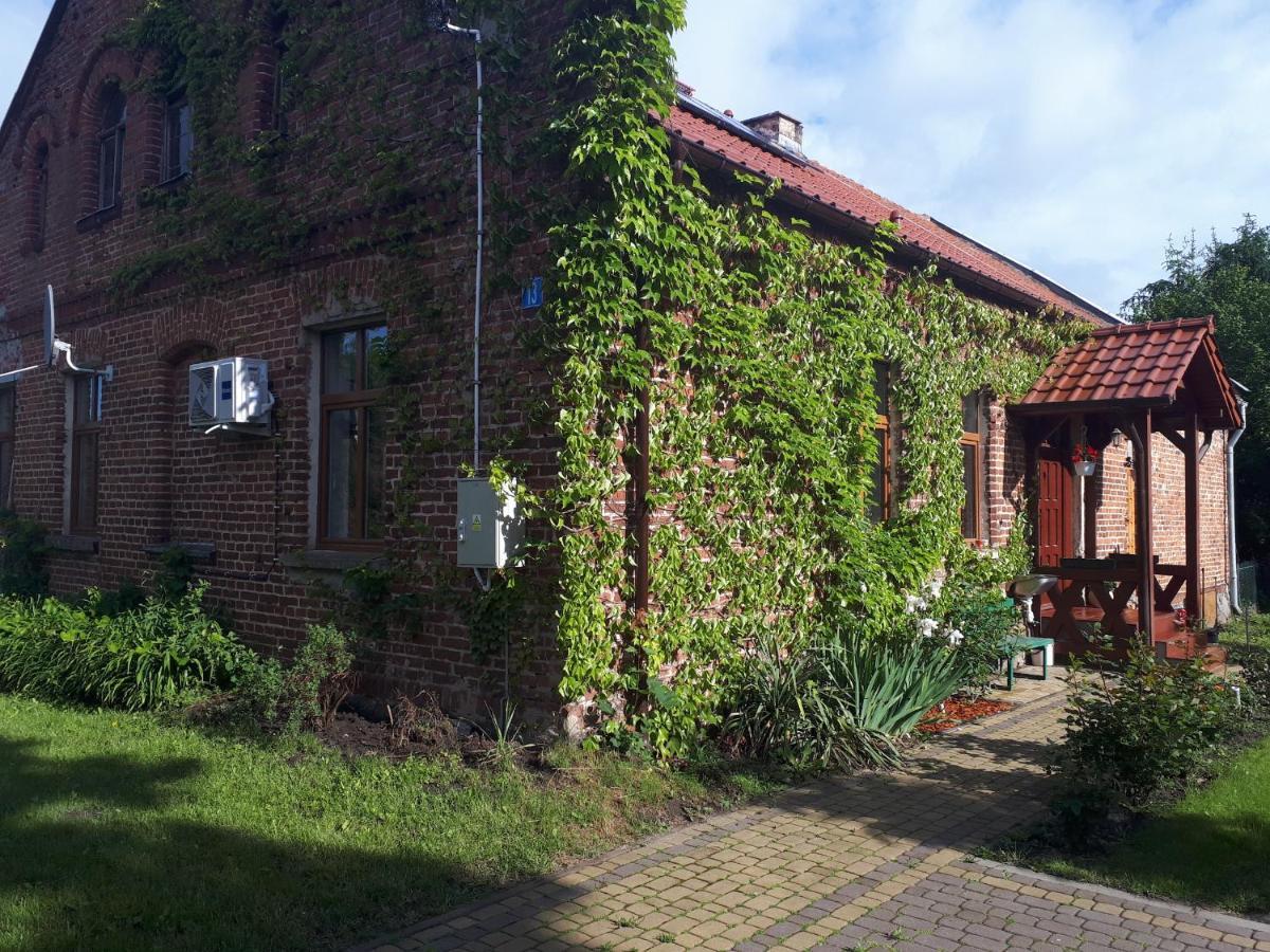 Agroturystyka Druzno Elblag Bagian luar foto